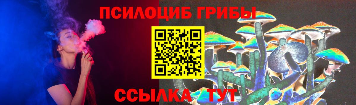 продажа наркотиков  Вход с VPN  Абинск  Псилоцибиновые грибы прущие грибы 
